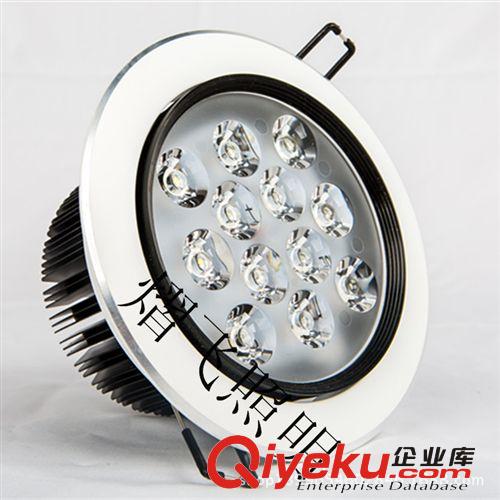 廠家直銷天花燈12W 12W大功率天花射燈 太陽花散熱LED天花燈12W原始圖片2
