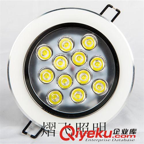 廠家直銷天花燈12W 12W大功率天花射燈 太陽花散熱LED天花燈12W原始圖片3