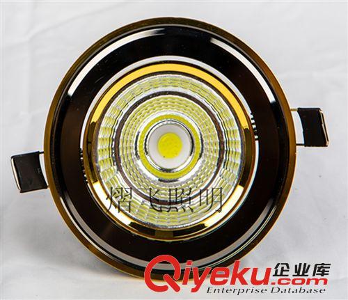 廠家直銷LED9W射燈、9WCOB筒燈、客廳臥室COB射燈、土豪金COB筒燈原始圖片2