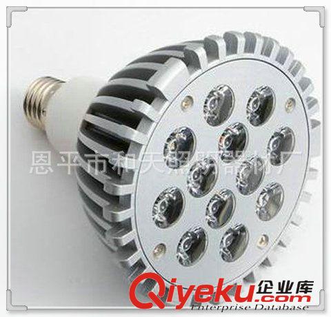 生產(chǎn)供應(yīng)節(jié)能型12WLED投射燈原始圖片2