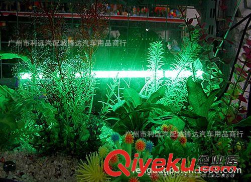 新款魚缸燈12V低壓5050RGB搖控潛水燈 LED 水族燈 60CM水陸兩用