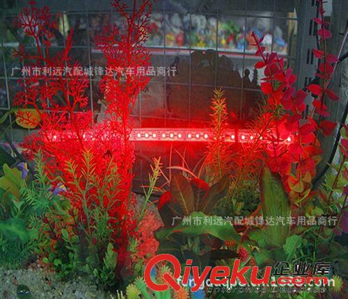 新款魚缸燈12V低壓5050RGB搖控潛水燈 LED 水族燈 60CM水陸兩用