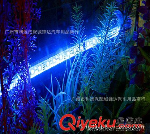 家用魚缸水族燈5050RGB搖控潛水燈 水族燈 30CM水陸兩用 魚缸水