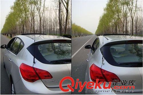 汽車裝飾天線  卡邊夾邊天線  車載改裝天線原始圖片2