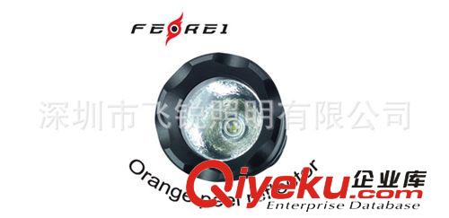 飛銳新款W160A XMLT6 10W強(qiáng)光LED潛水手電筒,800流明LED探照電筒