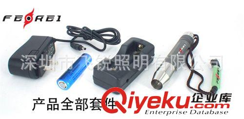 珠寶玉石MINI800-V LED手電筒－專用珠寶照明燈具LED手電筒