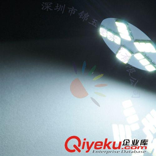 G4-5730-15SMD 正白節能環保 恒流交直流LED燈