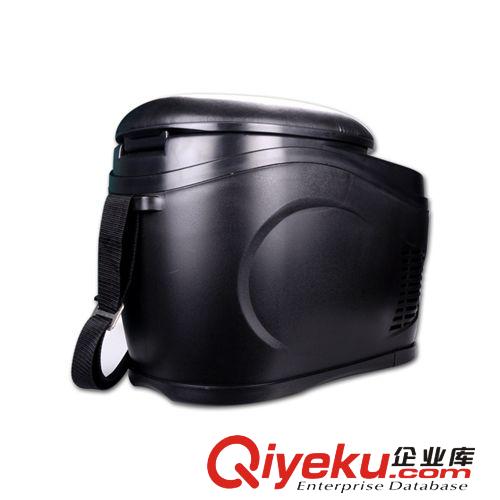 DUNLOP登路普冰箱 車(chē)載冰箱 汽車(chē)冰箱 迷你小冰箱 車(chē)載迷你冰箱原始圖片2