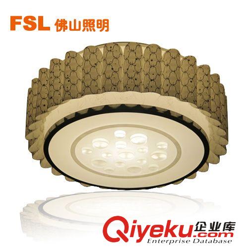 FSL佛山照明客廳臥室燈現(xiàn)代簡約2013新款吸頂花燈FEX50009原始圖片2