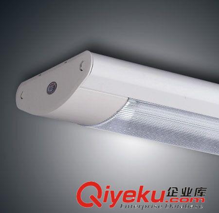 FSL佛山照明食品車間工廠照明燈具帶罩防潮防爆支架燈原始圖片2