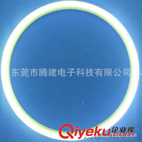 專業(yè)供應(yīng)LED汽車天使眼 100MM（54）燈 歡迎致電