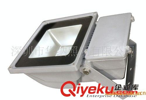 80W華納牌泛光燈 LED高亮度投光燈具  LED照明投光燈80W