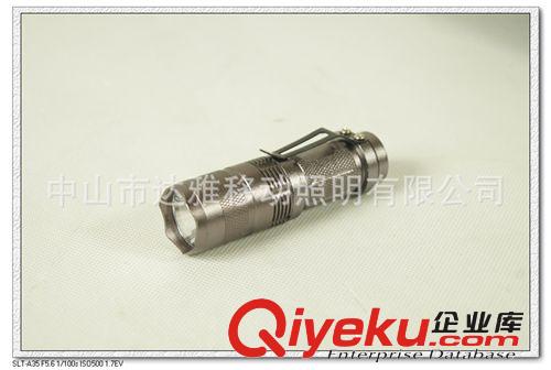 供應(yīng)DYL-04款CREE Q5三檔 強光 LED手電筒 OMS防水 手電筒系列
