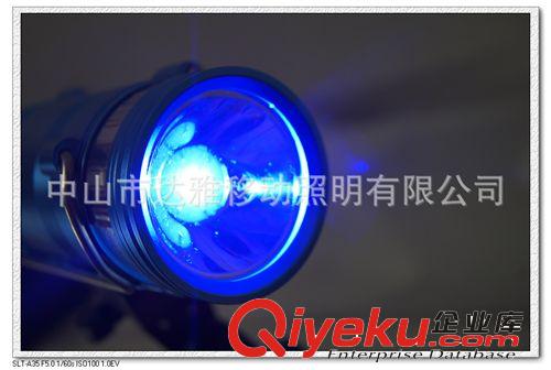 DYL-31藍(lán)光白光5W釣魚燈夜釣燈 雙光源垂釣燈智能無極調(diào)光配支架原始圖片3