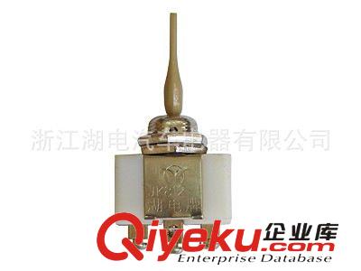 廠家長期供應(yīng) 各種汽車 儀表燈開關(guān)
