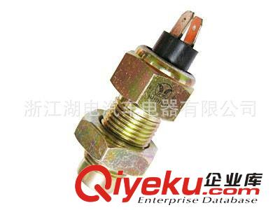 廠家生產(chǎn)供應(yīng) 車速里程傳感器原始圖片3
