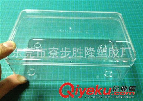 廠家生產(chǎn)透明注塑塑膠盒 透明塑膠包裝盒原始圖片3