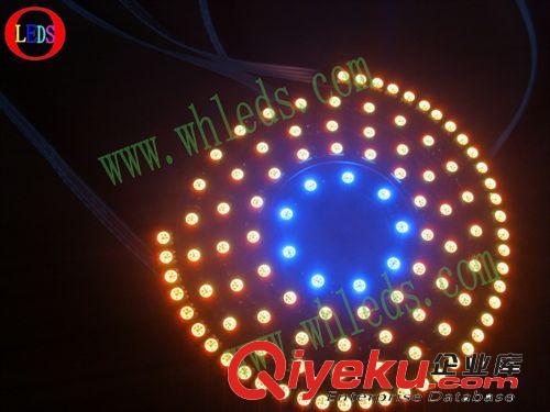 寶馬天使眼 131mm5050 42smd RGB天使眼光圈，不防水，CCFL