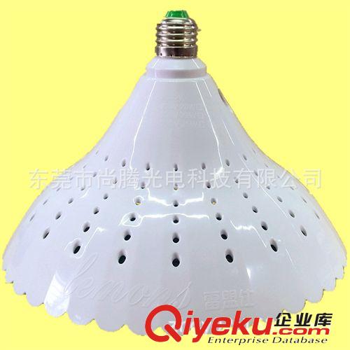 LED生鮮豬肉燈 水果蔬菜燈 食品照明燈 超市生鮮區照明燈原始圖片2