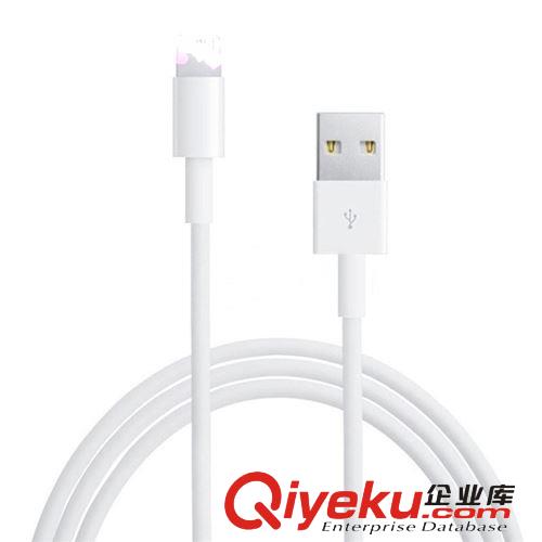 廠家直銷 品牌Iphone5數(shù)據線 蘋果5s數(shù)據線 蘋果手機數(shù)據線 現(xiàn)貨