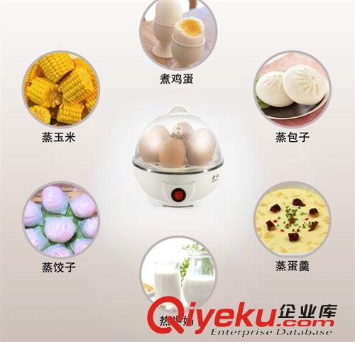 廠家直批 迷你蒸蛋器 愛心吃點 快捷 簡單煮蛋器 多功能電蒸蛋器原始圖片2