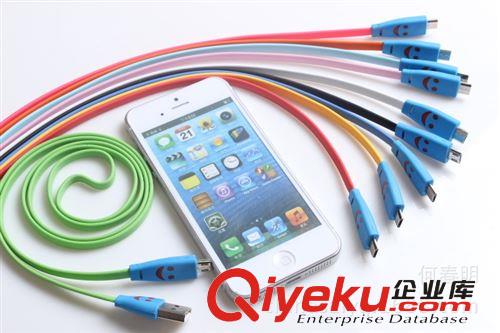 熱賣蘋果5代iphone5彩色數(shù)據(jù)線 ii加長(zhǎng)usb面條線充電線 廠家直銷