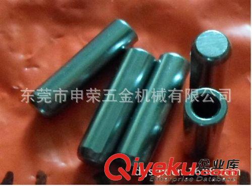 東莞供應合梢|精密定位梢|精密梢釘|MSTM圓梢原始圖片2