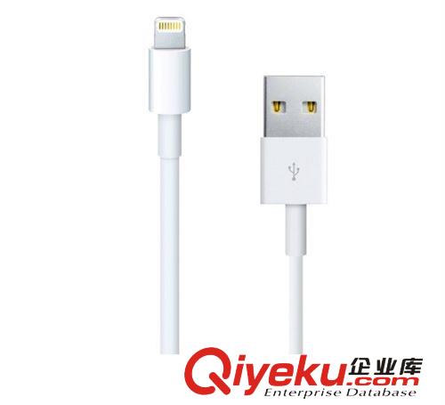 iphone5配件 iphone5轉(zhuǎn)接頭