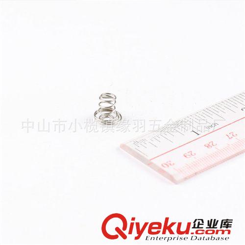 廠家供應 壓縮彈簧 錐形彈簧 汽車彈簧 中山彈簧批發原始圖片3