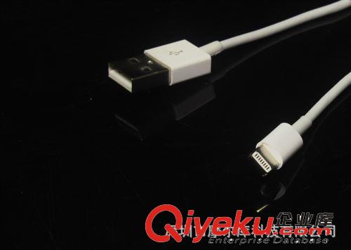 1米數(shù)據(jù)線iPhone5s ios7蘋(píng)果數(shù)據(jù)線原始圖片3