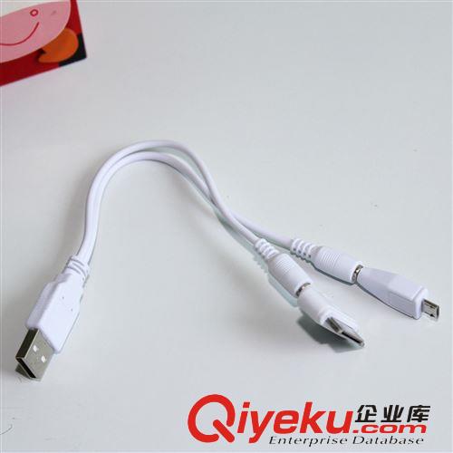 移動電源充電線蘋果安卓手機MICRO/IPAD一拖二連接線 批發 OEM原始圖片3