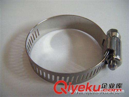 【廠家直銷】美式不銹鋼管箍,304不銹鋼喉箍,304不銹鋼卡箍原始圖片3