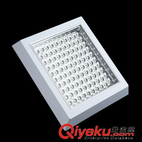【遠景批發(fā)】LED明裝廚衛(wèi)燈 8W方形明裝 廚衛(wèi)燈廠家直銷原始圖片2