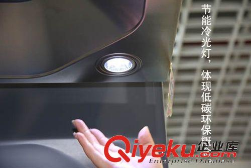 櫻花歐式自動全封閉雙滾珠銅線抽油煙機廠家220V貼牌加工原始圖片3