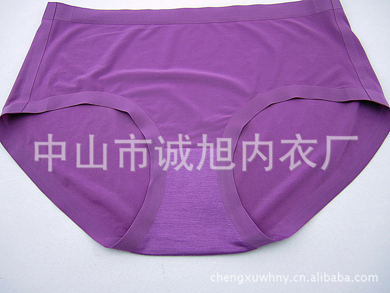 女士無痕內(nèi)褲貼牌生產(chǎn)廠家無縫內(nèi)褲一片式無痕內(nèi)褲