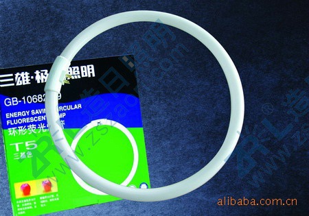 節(jié)能管 PL插管 4針 三雄極光播拔式節(jié)能管