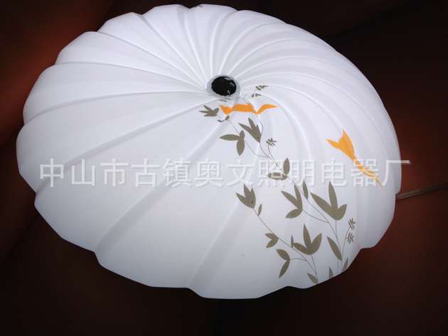 供應(yīng)高品質(zhì)室內(nèi)燈家居燈臥室燈廚房燈客廳燈陽臺(tái)燈 LED燈 吸頂燈原始圖片3