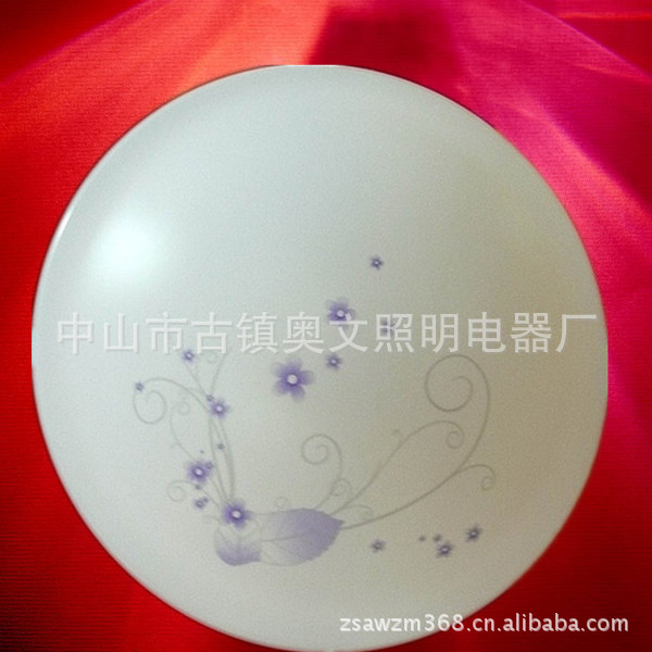 吸頂燈 高品質(zhì)吸頂燈 優(yōu)質(zhì)燈管吸頂燈 適合陽(yáng)臺(tái)過(guò)道