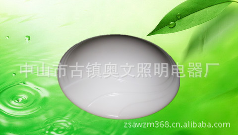 廠家直銷LED吸頂燈 簡(jiǎn)約現(xiàn)代客廳燈 臥室燈廚房燈