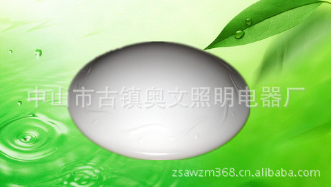 廠家批發優質臥室吸頂燈 高品質簡約時尚典雅風格 瘋狂低價原始圖片2