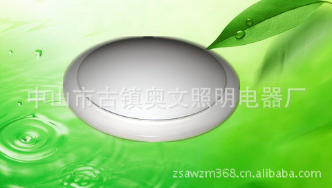 廠家批發優質臥室吸頂燈 高品質簡約時尚典雅風格 瘋狂低價原始圖片3