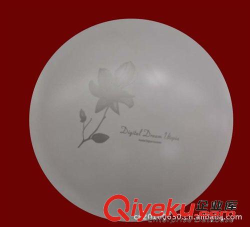 現(xiàn)代吸頂燈 大廳吸頂燈 臥室吸頂燈原始圖片3