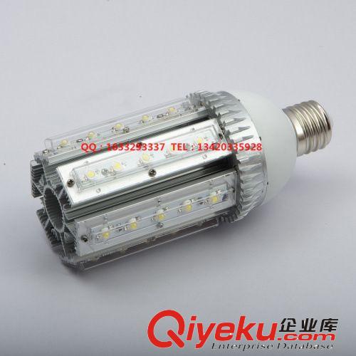 南京LED廠家直銷大功率24w玉米燈 橫插路燈 LED24*1w庭院路燈套件原始圖片3