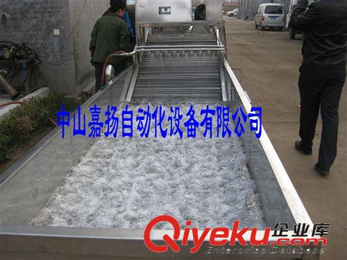 節約型果蔬加工設備 果子清洗機/篩選機/烘干機