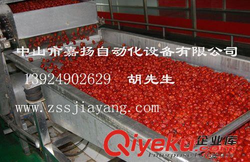 節能環保清洗設備 大棗清洗設備 蜜棗加工設備