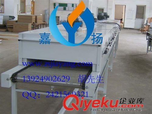 中山嘉揚休閑食品加工設備 食品清洗設備/篩選設備/烘干設備原始圖片3