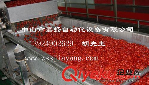 專業紅棗加工成套設備 紅棗清洗機 紅棗烘干設備原始圖片3