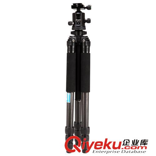 勁捷CK-288+QE-1碳纖維單反相機三腳架球型云臺 碳素數碼三角架原始圖片3