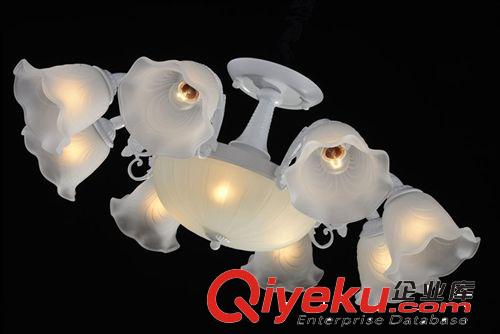 柏韻歐式現(xiàn)代田園風(fēng)格簡(jiǎn)約磨砂玻璃吊燈廠家貨源批發(fā)2108/8+3亞白原始圖片2