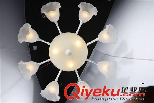 柏韻歐式現(xiàn)代田園風(fēng)格簡(jiǎn)約磨砂玻璃吊燈廠家貨源批發(fā)2108/8+3亞白原始圖片3
